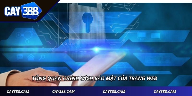 Tổng quan chính sách bảo mật của trang web