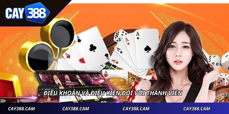 Điều khoản và điều kiện đối với thành viên
