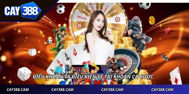 Điều khoản và điều kiện về tài khoản cá cược