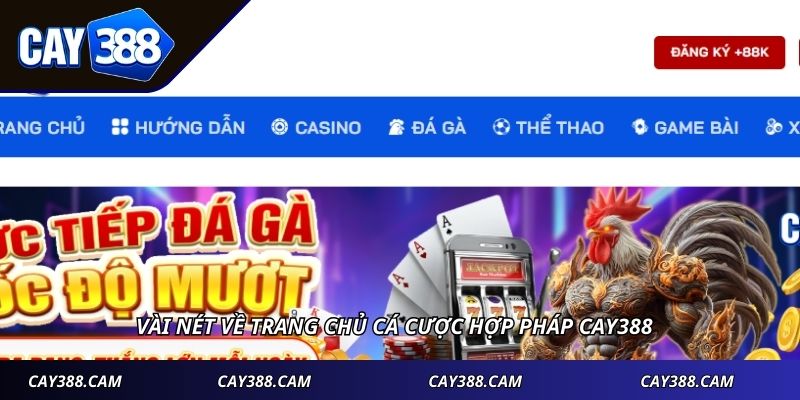 Vài nét về trang chủ cá cược hợp pháp CAY388