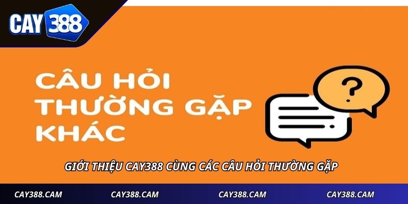Giới thiệu CAY388 cùng các câu hỏi thường gặp