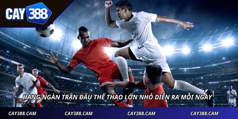 Hàng ngàn trận đấu thể thao lớn nhỏ diễn ra mỗi ngày