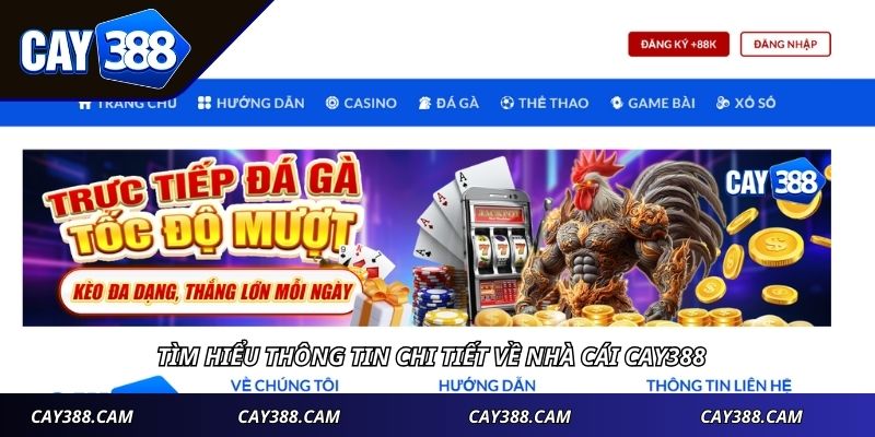 Tìm hiểu thông tin chi tiết về nhà cái CAY388