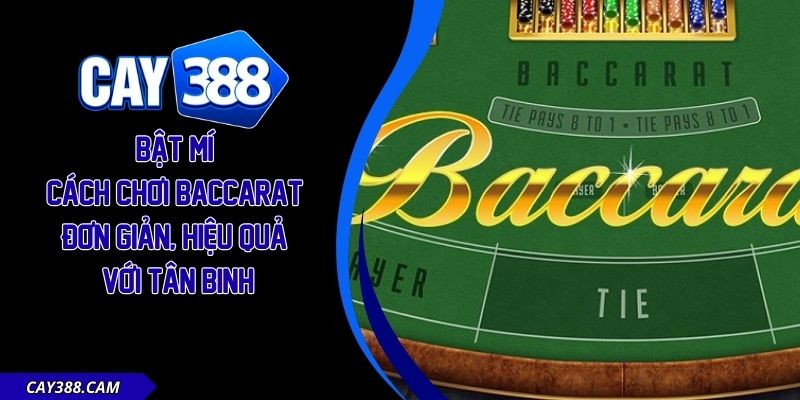 Cách Chơi Baccarat