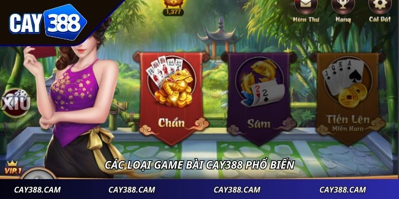 Các loại game bài Cay388 phổ biến