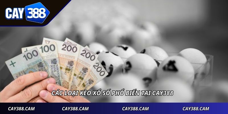 Các loại kèo xổ số phổ biến tại CAY388