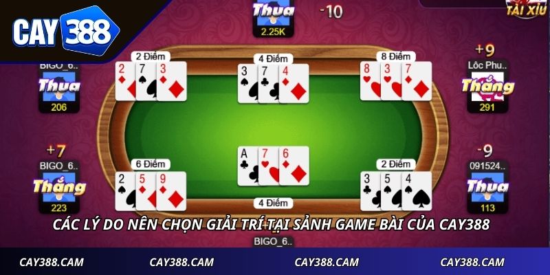 Các lý do nên chọn giải trí tại sảnh game bài của Cay388