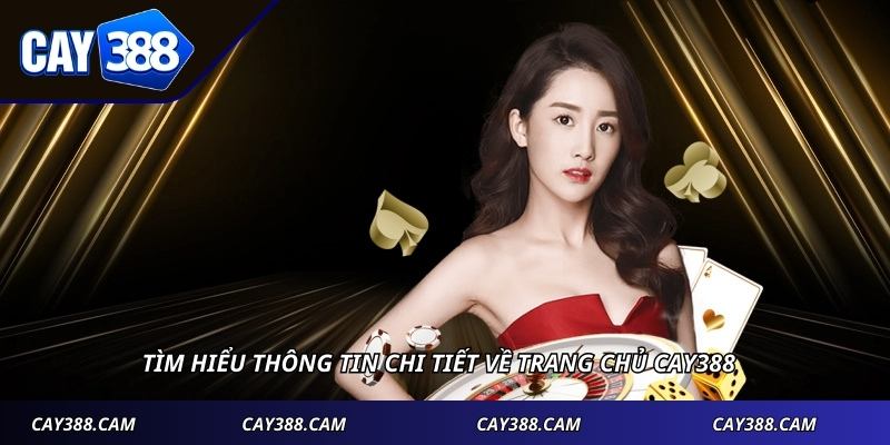 Tìm hiểu thông tin chi tiết về trang chủ CAY388