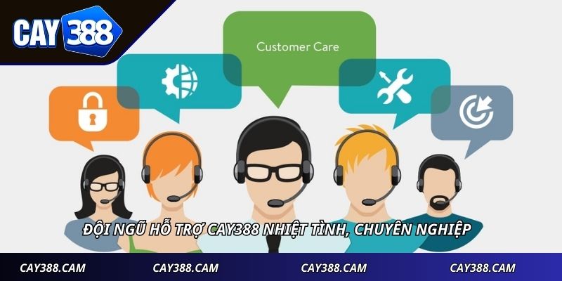 Đội ngũ hỗ trợ Cay388 nhiệt tình, chuyên nghiệp