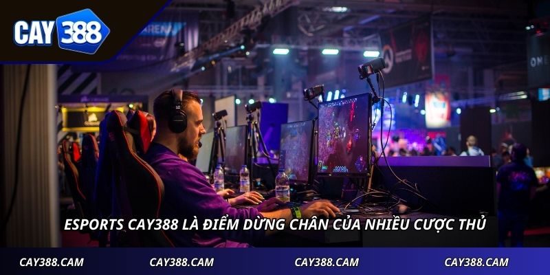 Esports CAY388 là điểm dừng chân của nhiều cược thủ