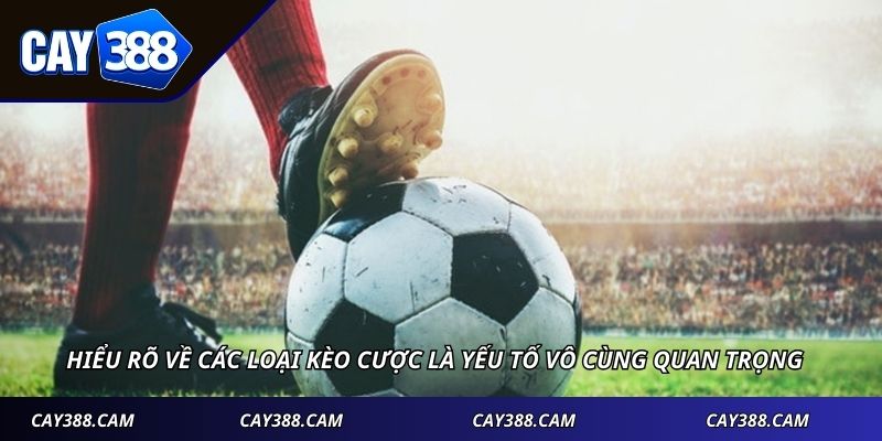 Hiểu rõ về các loại kèo cược là yếu tố vô cùng quan trọng