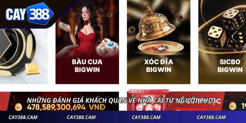Những đánh giá khách quan về nhà cái từ người chơi