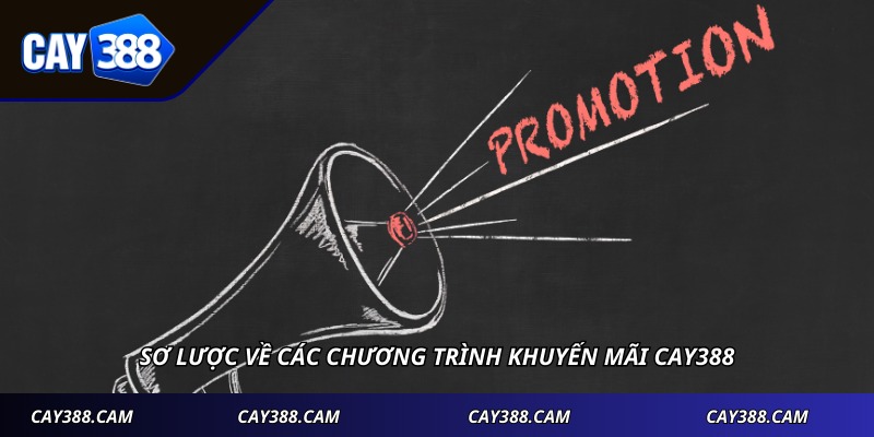 Sơ lược về các chương trình khuyến mãi CAY388