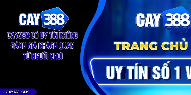 Cay388 Có Uy Tín Không