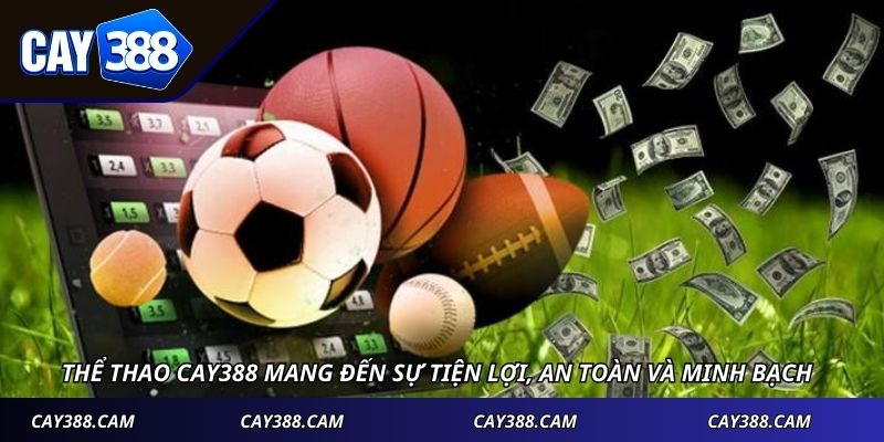 Thể thao Cay388 mang đến sự tiện lợi, an toàn và minh bạch