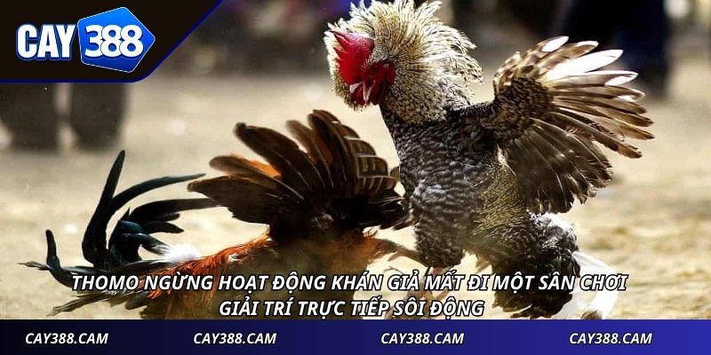 Thomo ngừng hoạt động khán giả mất đi một sân chơi giải trí trực tiếp sôi động