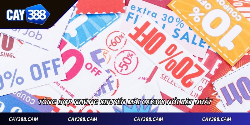Tổng hợp những khuyến mãi CAY388 nổi bật nhất