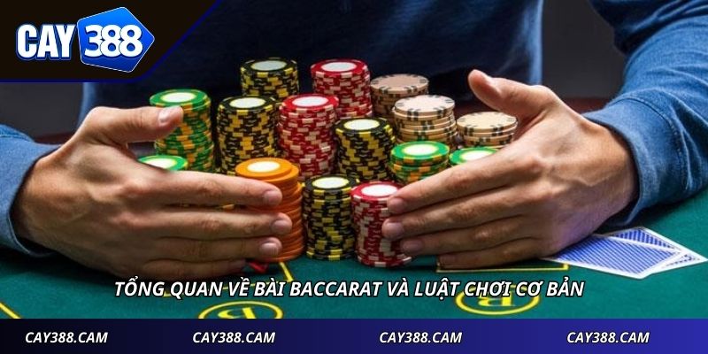 Tổng quan về bài baccarat và luật chơi cơ bản