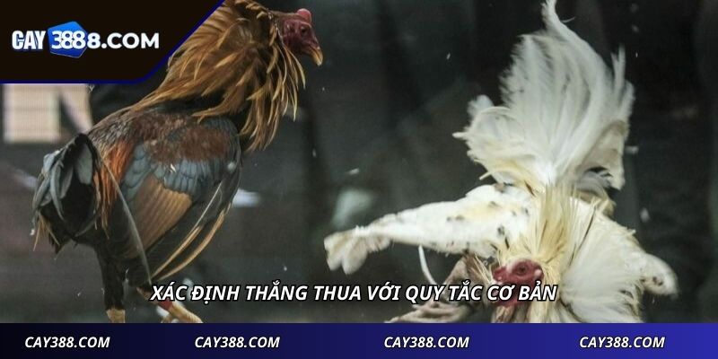 Xác định thắng thua với quy tắc cơ bản